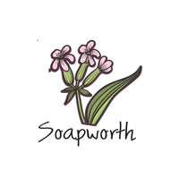 Soapwort