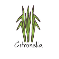 Citronella