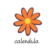 Calendula