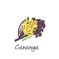 Cananga