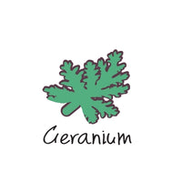 Geranium Oil